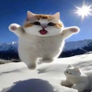 Meet your Posher, Alina